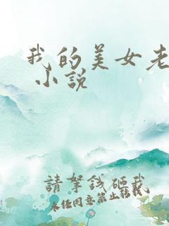 我的美女老婆们 小说