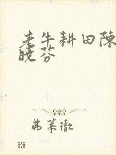 老牛耕田陈雪杨晓芬