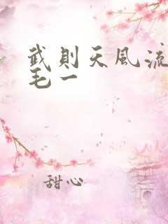 武则天风流艳情毛一