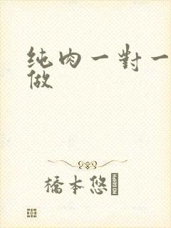 纯肉一对一到处做