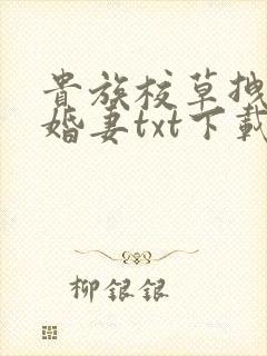 贵族校草拽拽未婚妻txt下载