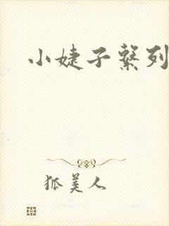 小婕子系列小说