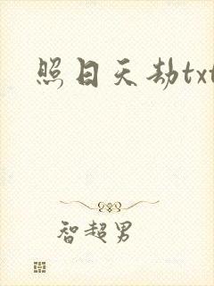 照日天劫txt