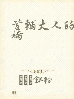 首辅大人的掌心娇