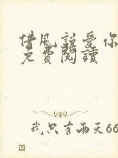 借风说爱你小说免费阅读