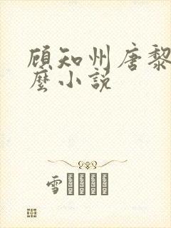 顾知州唐黎叫什么小说