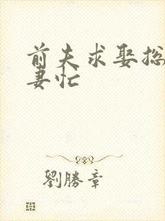 前夫求娶总裁追妻忙