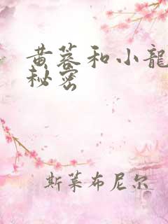 黄蓉和小龙女的秘密