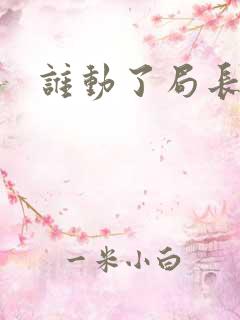 谁动了局长夫人