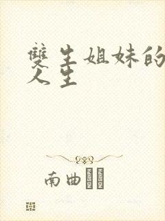 双生姐妹的错位人生