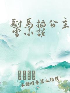 驸马插公主恋战雪小说