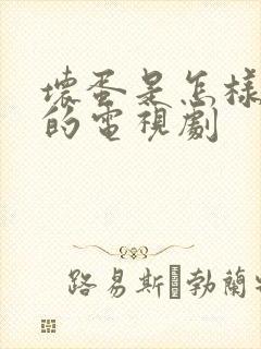 坏蛋是怎样炼成的电视剧