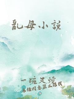 乱母小说