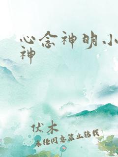 心念神明小说堕神
