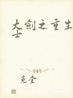 大剑之重生圣骑士