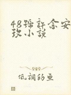 48号许念安穆玫小说