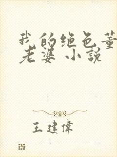 我的绝色董事长老婆 小说