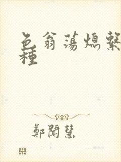 色翁荡熄系列借种