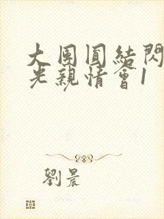 大团圆结闪闪发光亲情会1