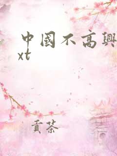中国不高兴 txt