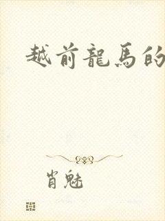 越前龙马的小说