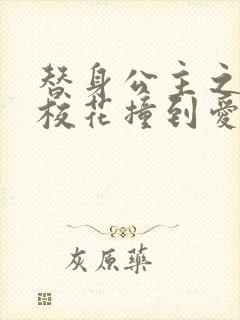 替身公主之杀手校花撞到爱