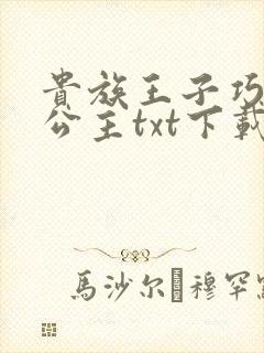 贵族王子巧遇穷公主txt下载