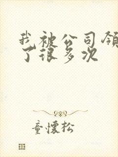 我被公司领导C了很多次