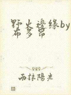 野火边缘by夏布多昂