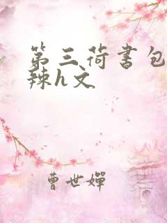 第三荷书包网高辣h文