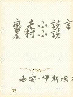 恋老小说言情网农村小说