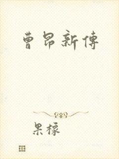 曹昂新传