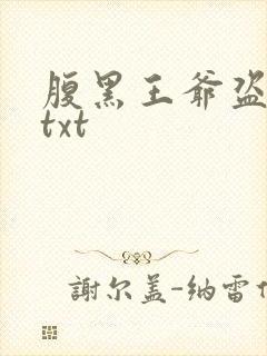 腹黑王爷盗墓妃txt