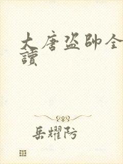 大唐盗帅全文阅读