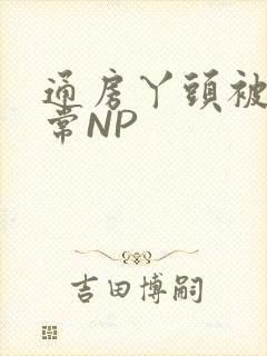 通房丫头被肉日常NP