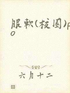服软(校园)po