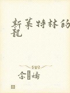 斯莱特林的铂金龙