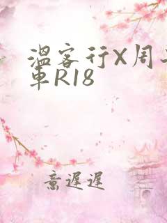 温客行X周子舒车R18