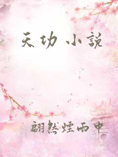 天功 小说