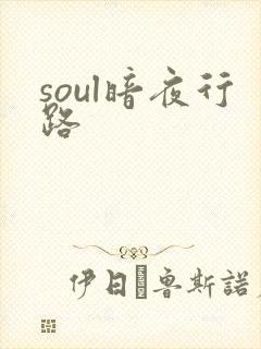soul暗夜行路
