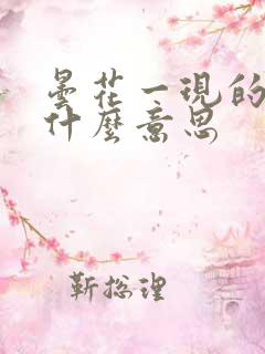 昙花一现的现是什么意思