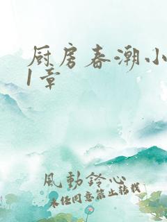 厨房春潮小说第1章