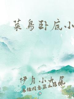 菜鸟卧底小正太