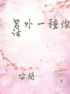 另外一种灿烂生活