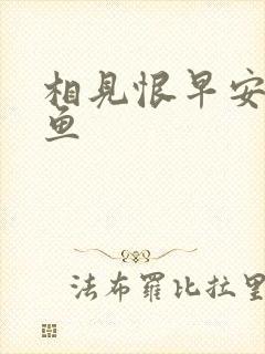 相见恨早安然的鱼