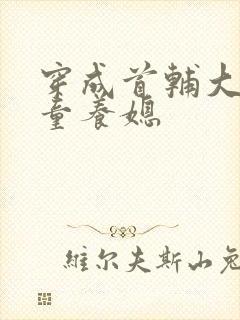 穿成首辅大人的童养媳