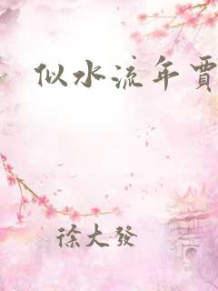 似水流年贾二虎