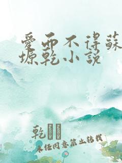 爱而不得苏路顾塬乾小说