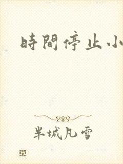 时间停止小说