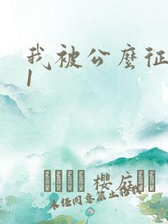 我被公么征服了1